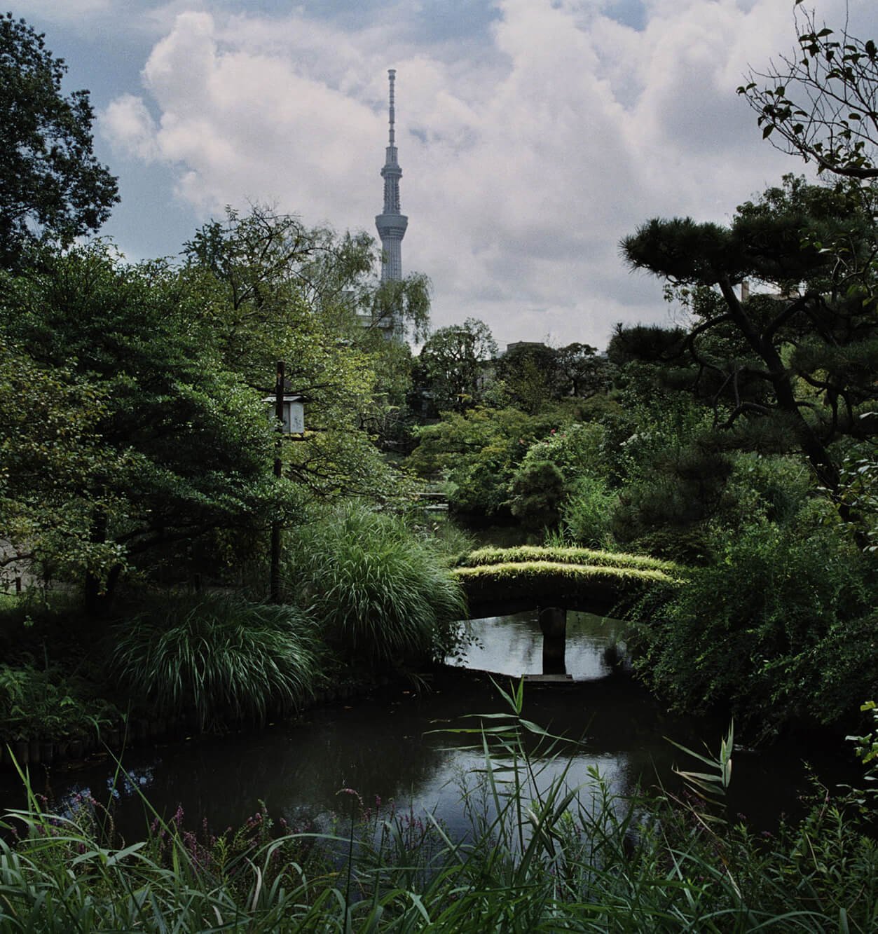 🌸 백화원(무코지마 햣카엔) 이미지 4